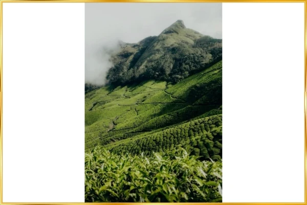 ooty-vacation-package-from-chennai-family-holidays