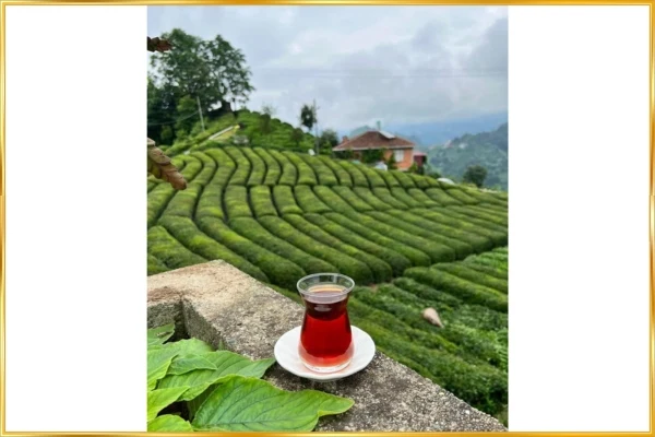 Family Vacation Ooty