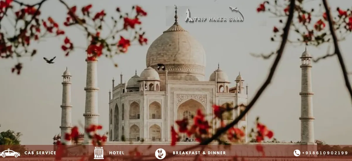 India Travel Packages