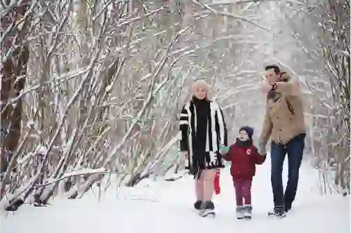 Bangalore To Himachal Pradesh Kullu Shimla Manali Tour Package