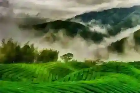 South Kerala Tour