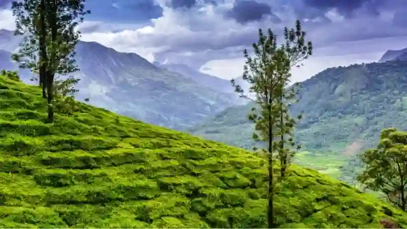 India family holiday packages from Malaysia to God's Own Country