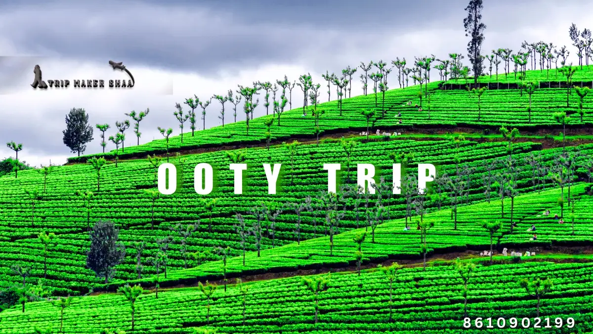 A Trip to Ooty