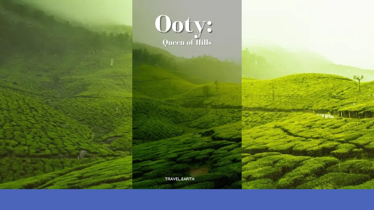 Ooty Holiday Trip & Travel Package
