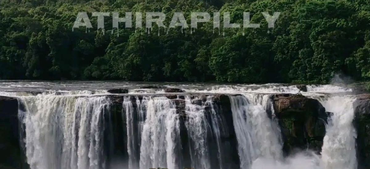 Munnar Packages from Hyderabad