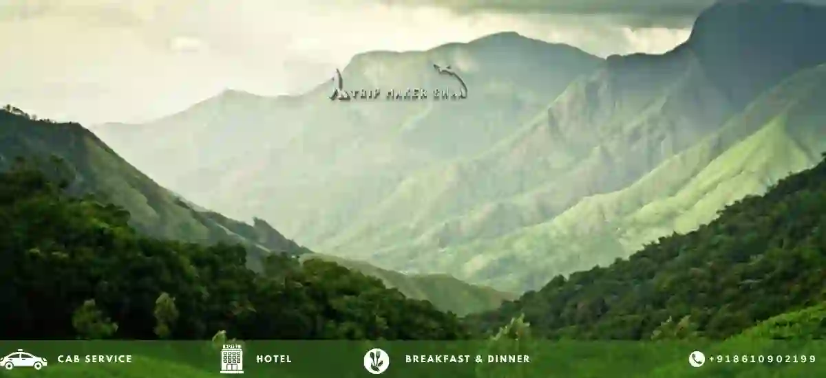 Munnar Tea Plantation Hill Station Tour