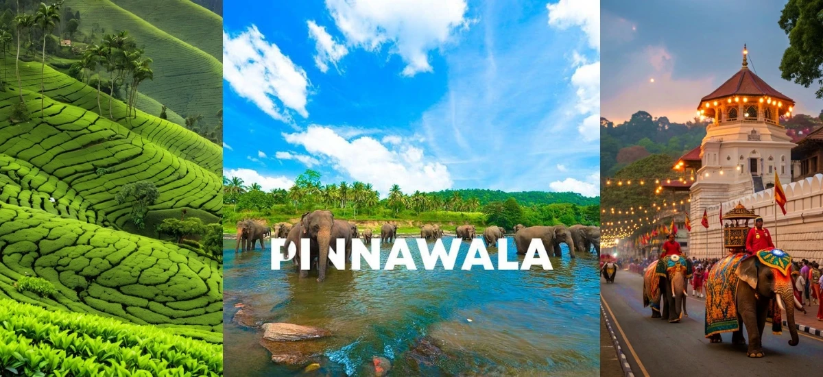 6 Nights 7 Days Sri Lanka Itinerary