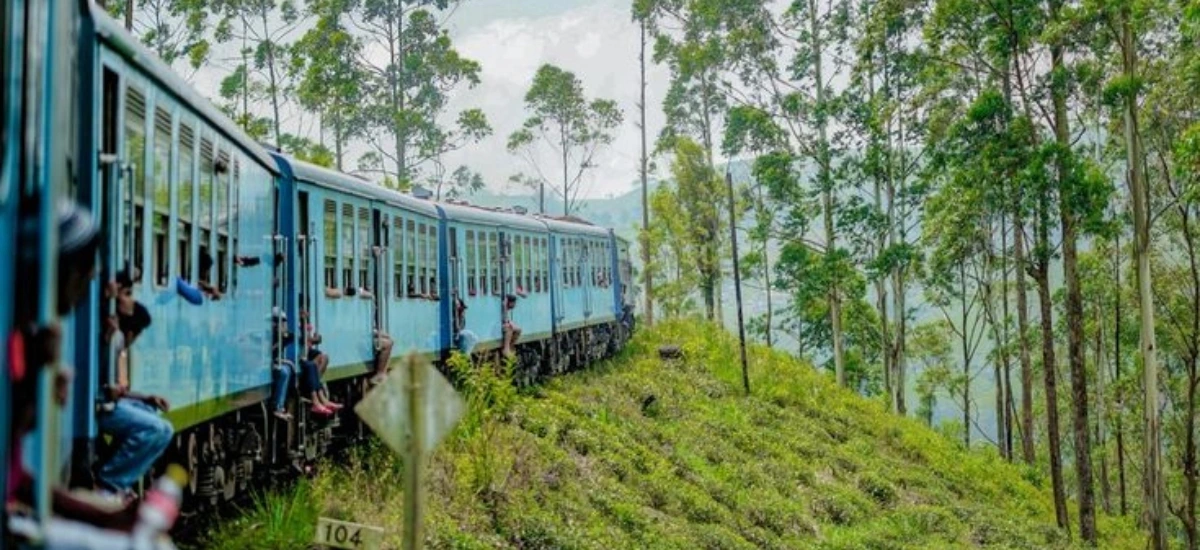 Luxury Sri Lanka Vacation 2025