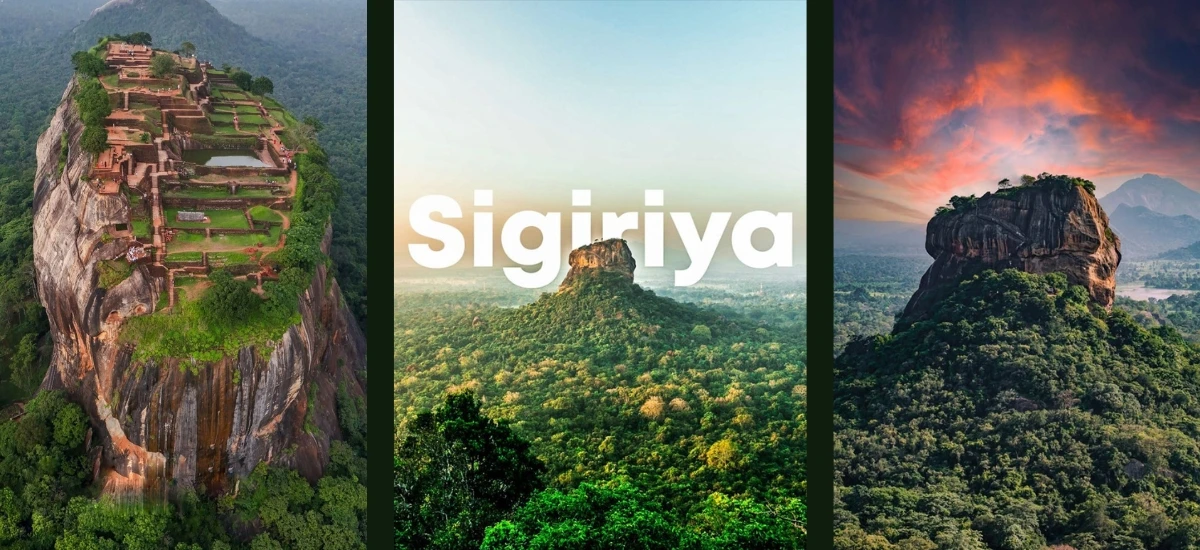 Tamil-Speaking Driver Sri Lanka Tour